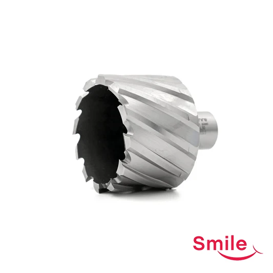 مته گردبر Actool (قطر × عمق برش ۱ اینچ)